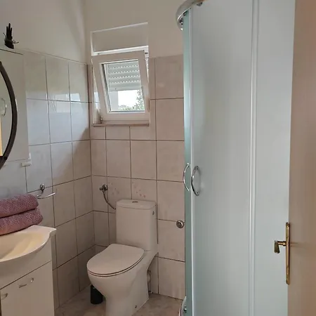 Stella רוגוזניצה