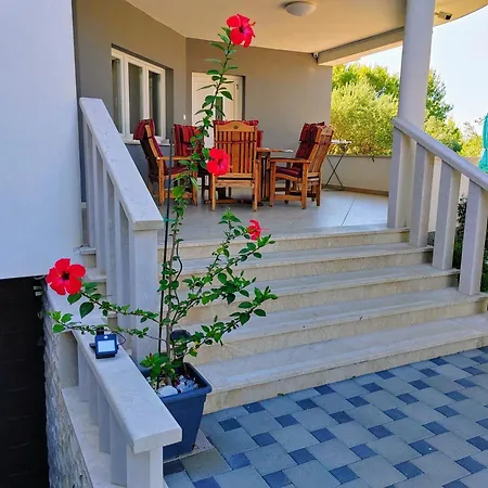 Stella רוגוזניצה