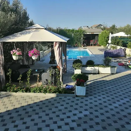 Stella * רוגוזניצה