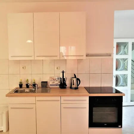 Stella רוגוזניצה