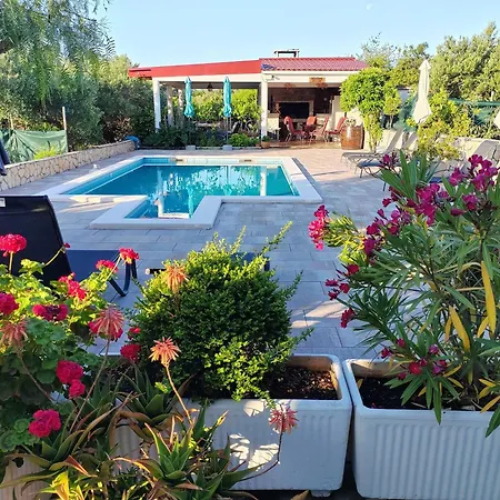 Stella * רוגוזניצה